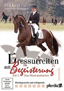 Dressurreiten mit begeisterung - dressurreiten,